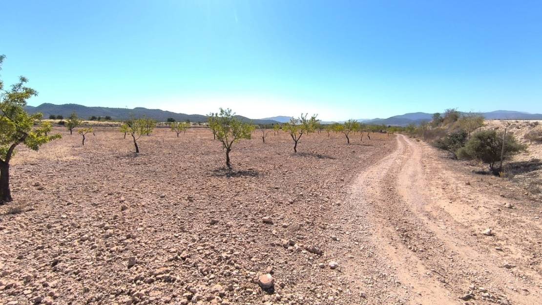 Venta - Land - Monóvar - Monòver - Monóvar - Monòver Centro