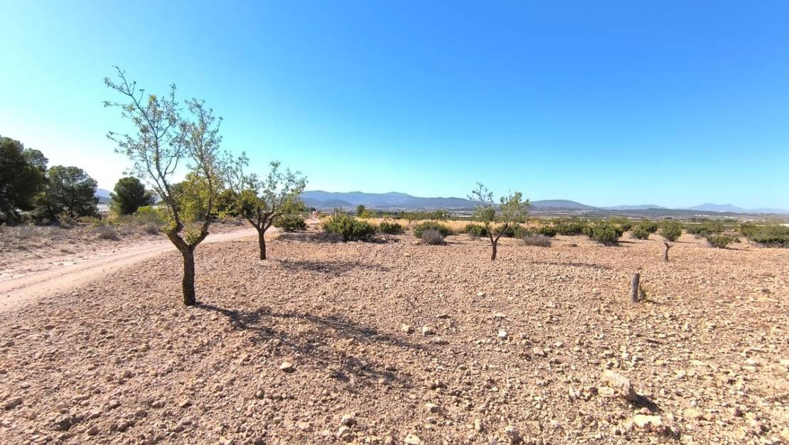 Venta - Land - Monóvar - Monòver - Monóvar - Monòver Centro