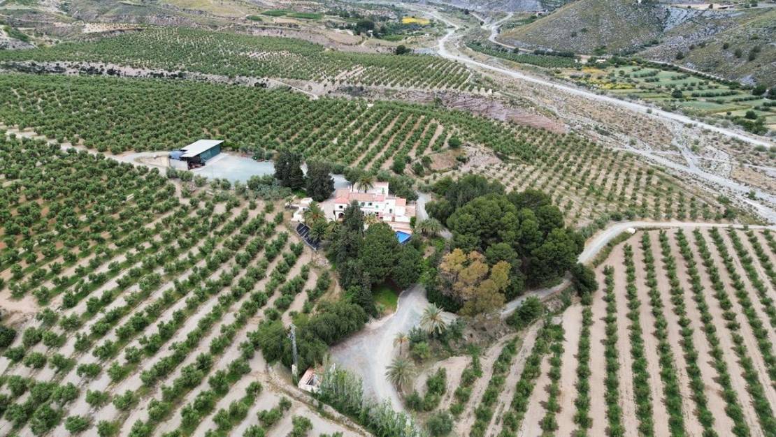 Venta - Land - Murcia - Murcia City