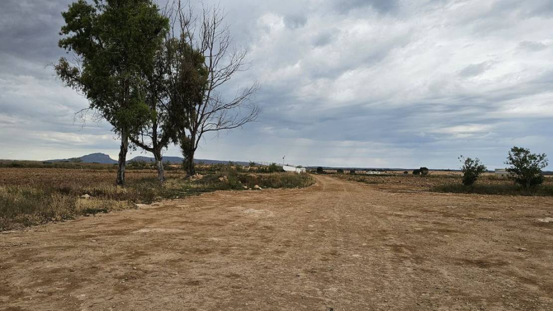 Venta - Land - Murcia - Sucina