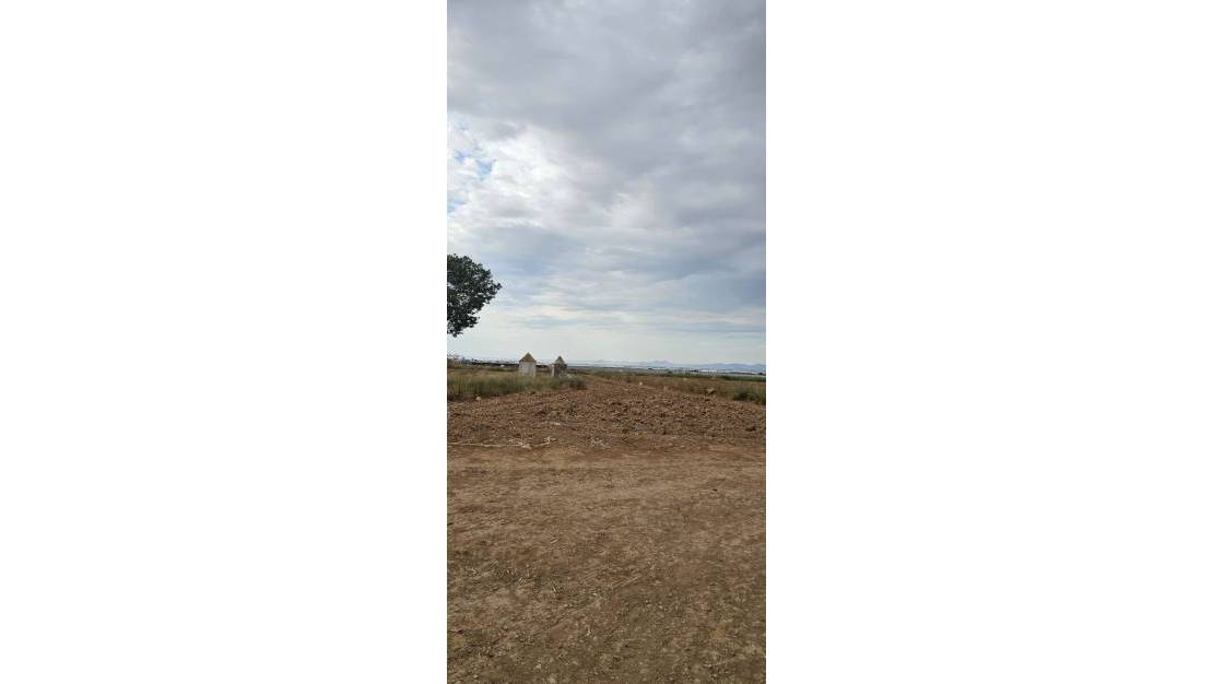 Venta - Land - Murcia - Sucina