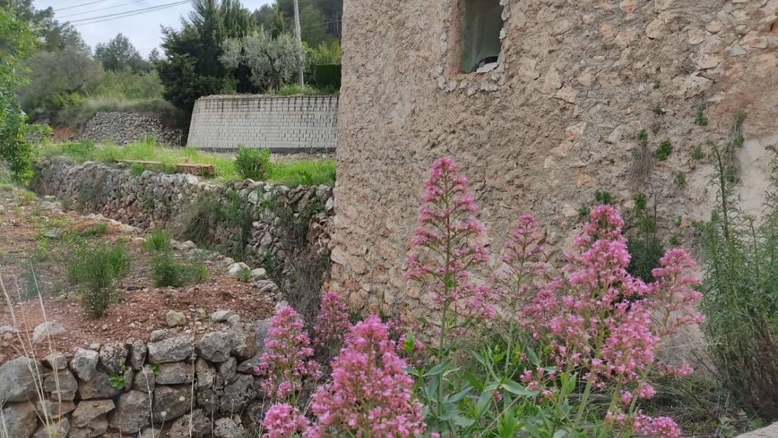 Venta - Land - Murla