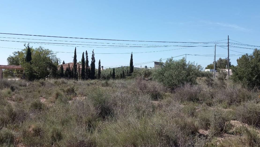 Venta - Land - Novelda - Novelda Centro