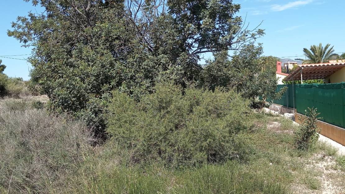 Venta - Land - Novelda - Novelda Centro