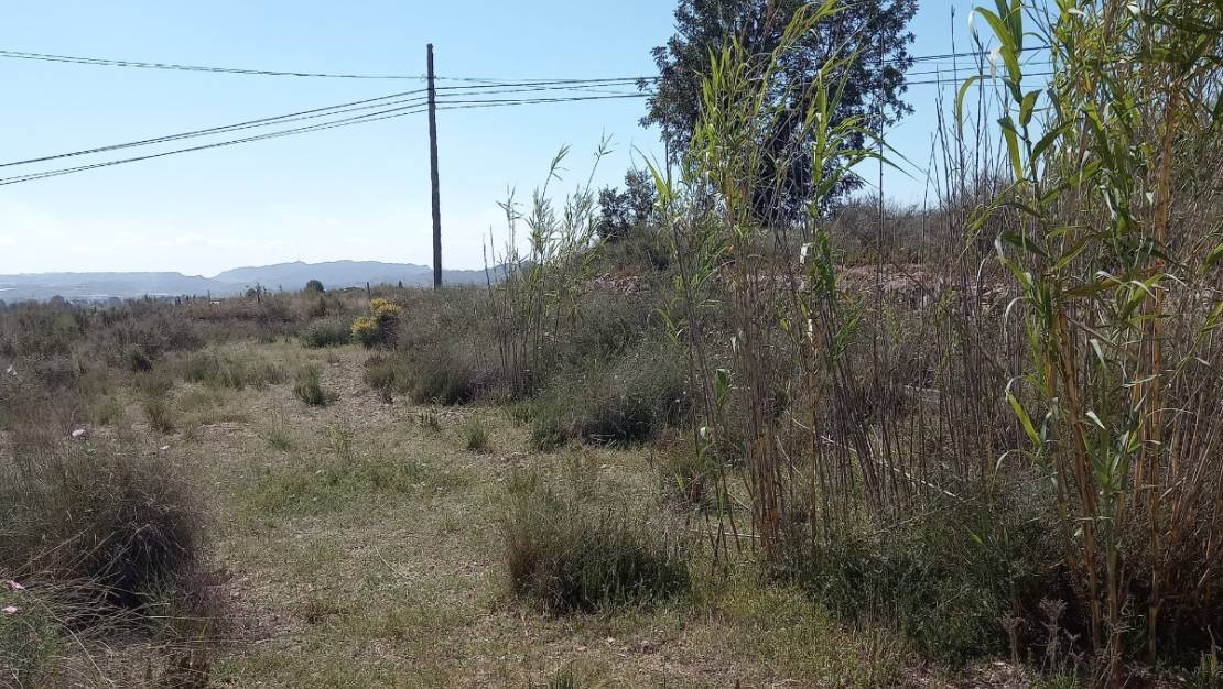 Venta - Land - Novelda - Novelda Centro