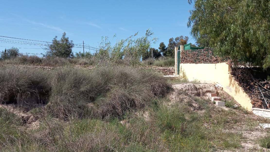 Venta - Land - Novelda - Novelda Centro