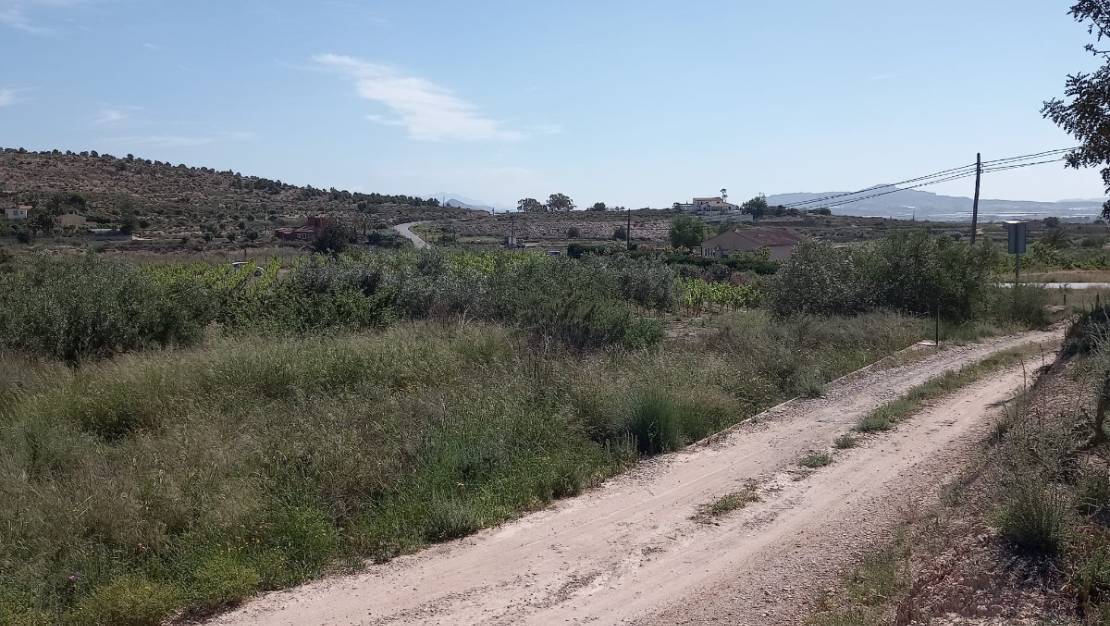 Venta - Land - Novelda - Novelda Centro