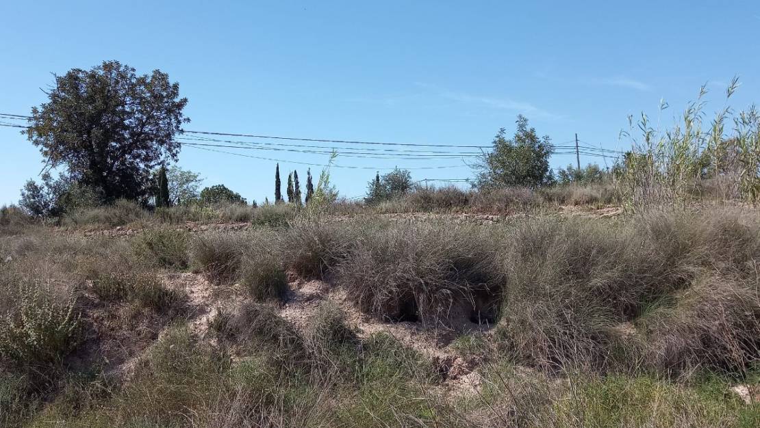 Venta - Land - Novelda - Novelda Centro