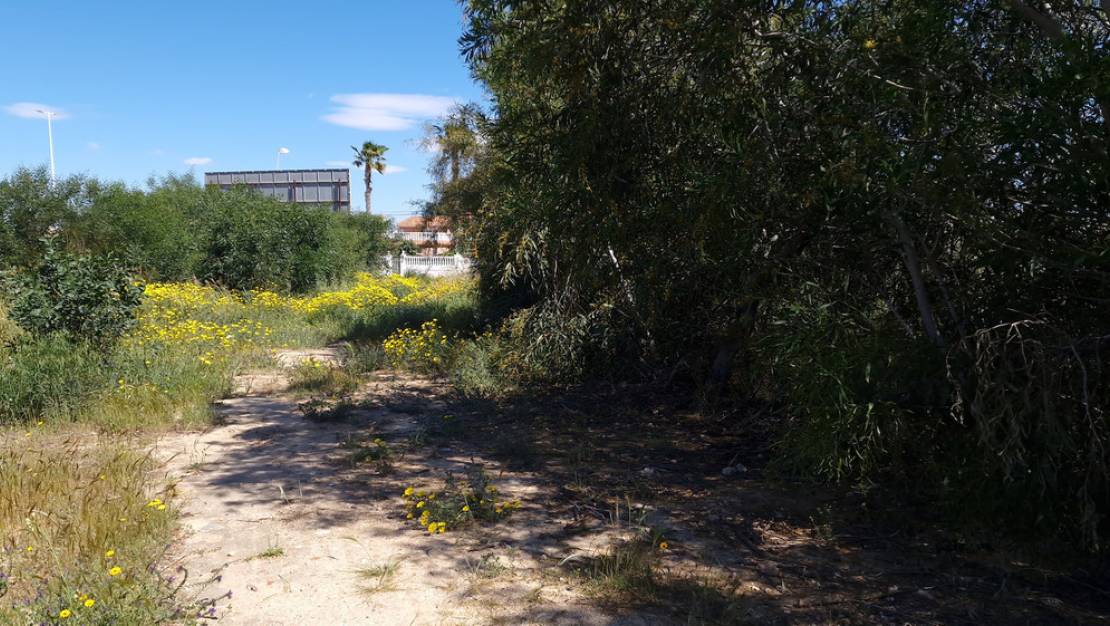 Venta - Land - Orihuela - Los Balcones