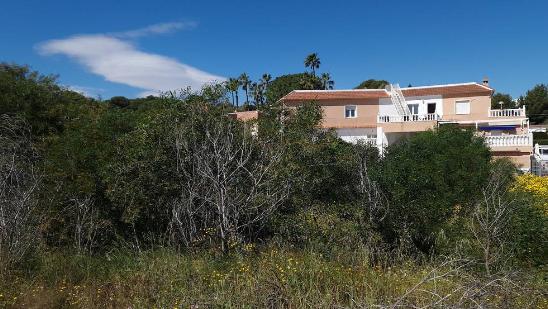 Venta - Land - Orihuela - Los Balcones