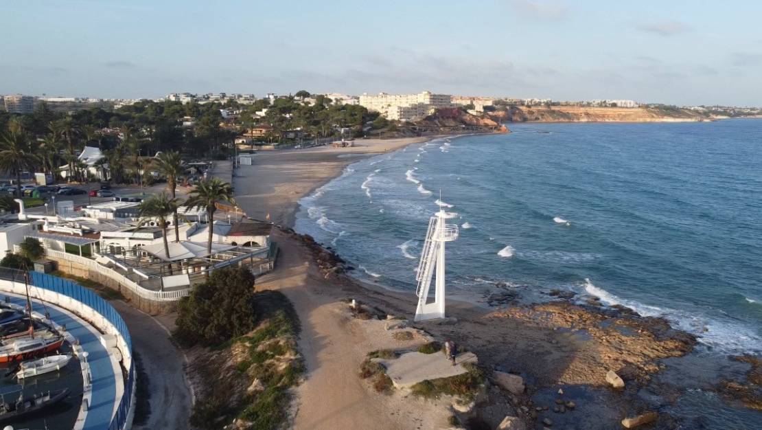 Venta - Land - Orihuela - Orihuela Centro