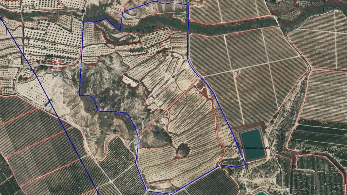 Venta - Land - Orihuela - Torremendo