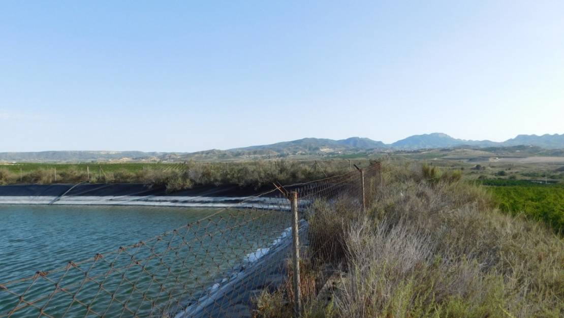 Venta - Land - Orihuela - Torremendo