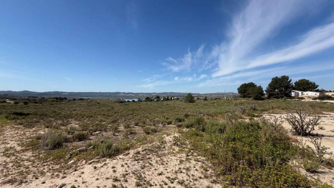 Venta - Land - Orihuela - Torremendo