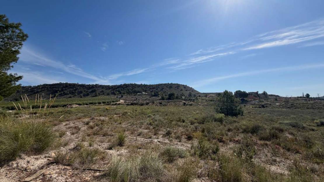 Venta - Land - Orihuela - Torremendo