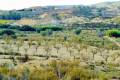 Venta - Land - Orihuela - Torremendo