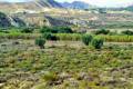 Venta - Land - Orihuela - Torremendo