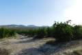 Venta - Land - Orihuela - Torremendo