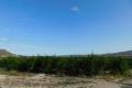 Venta - Land - Orihuela - Torremendo