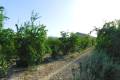 Venta - Land - Orihuela - Torremendo