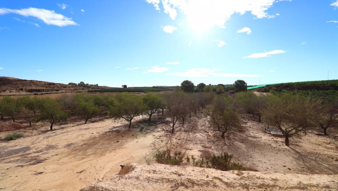 Venta - Land - Orihuela - Torremendo