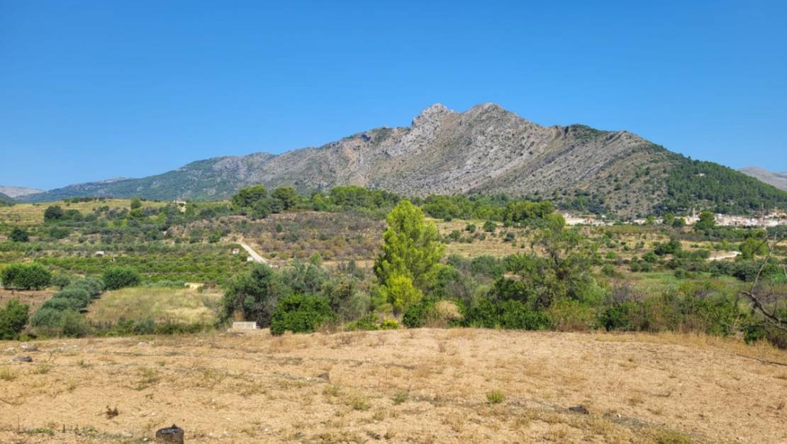 Venta - Land - Parcent