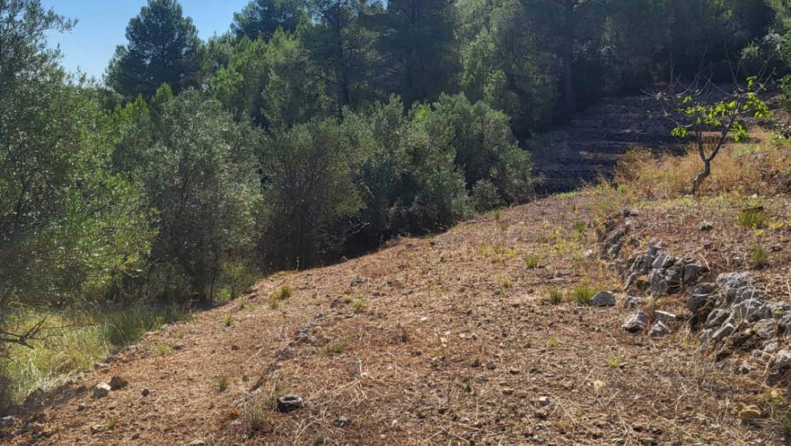 Venta - Land - Parcent