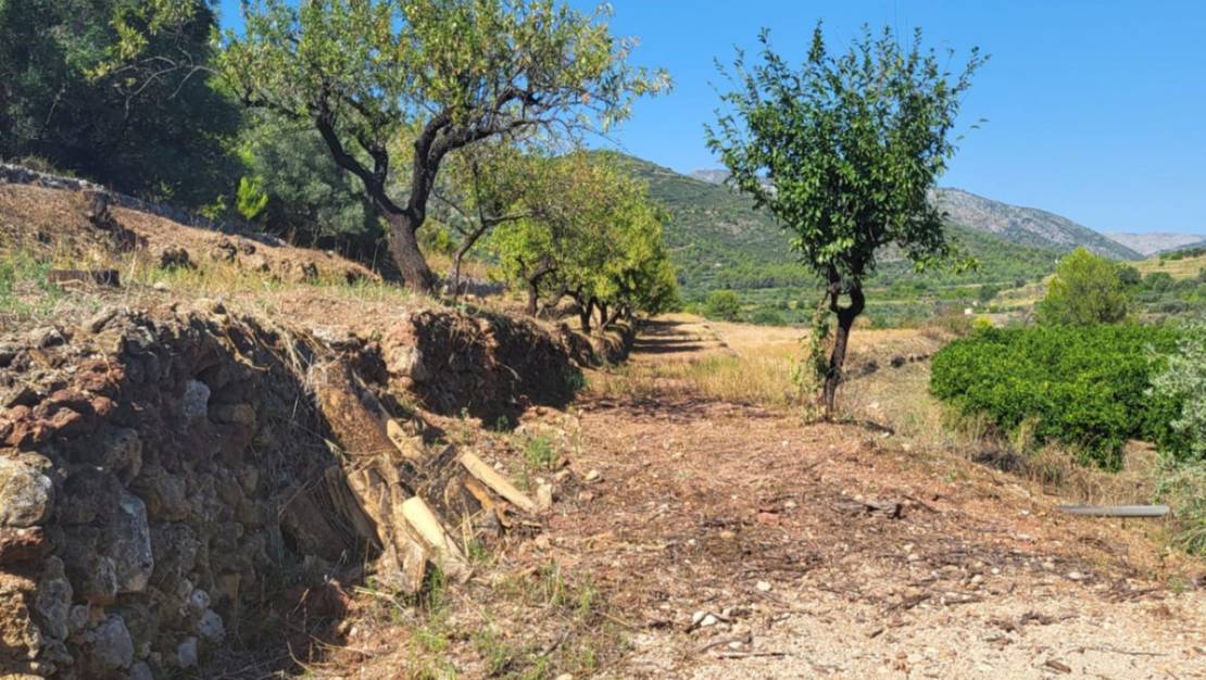 Venta - Land - Parcent