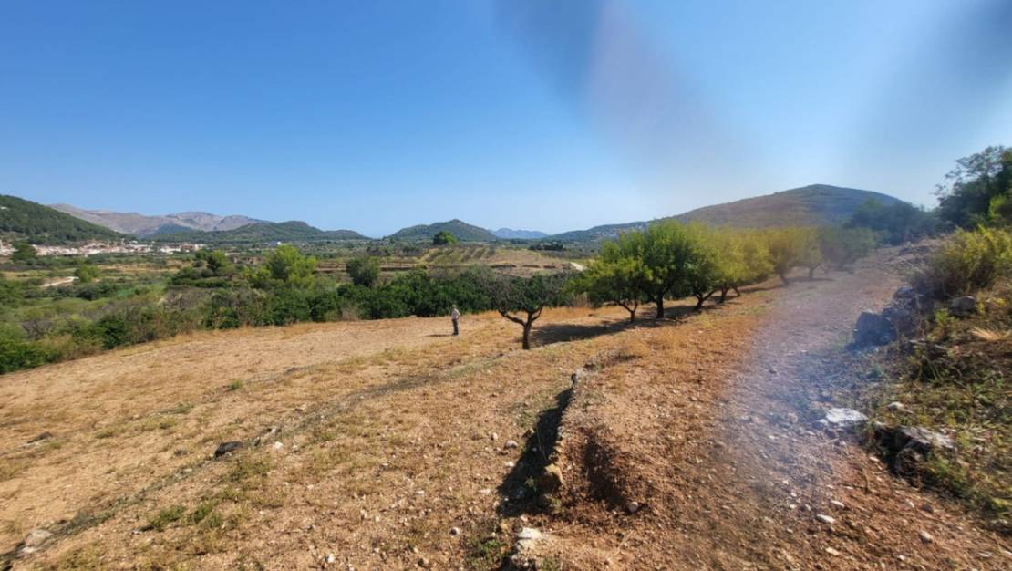 Venta - Land - Parcent