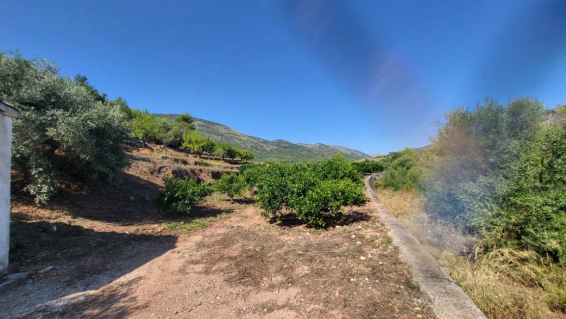 Venta - Land - Parcent