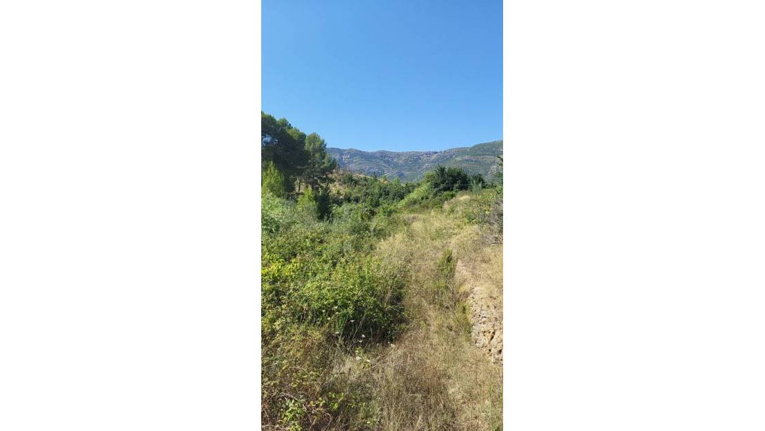 Venta - Land - Parcent