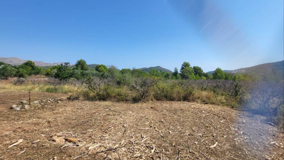 Venta - Land - Parcent