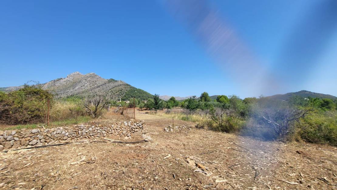 Venta - Land - Parcent