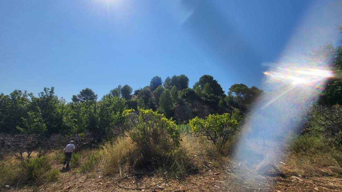 Venta - Land - Parcent