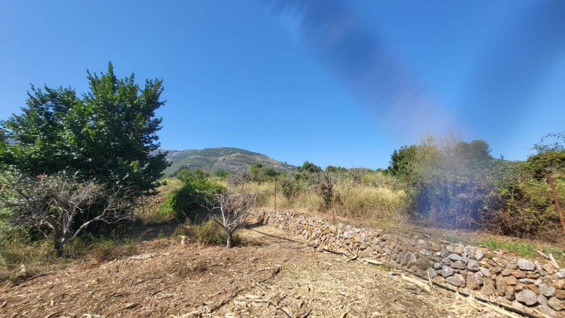 Venta - Land - Parcent