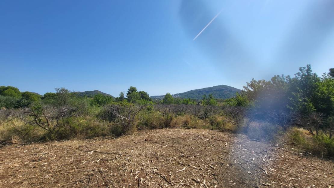 Venta - Land - Parcent