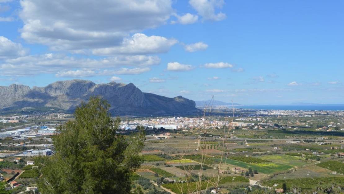 Venta - Land - Pedreguer - Pedreguer Centro