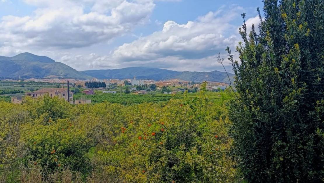 Venta - Land - Pego - Pego Centro