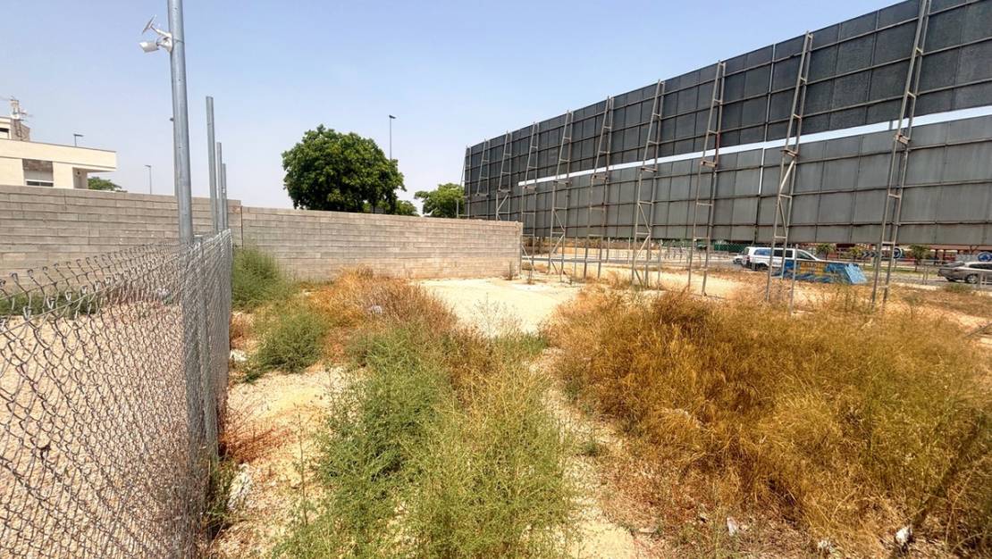 Venta - Land - Pilar de la Horadada - Pilar de la Horadada Centro