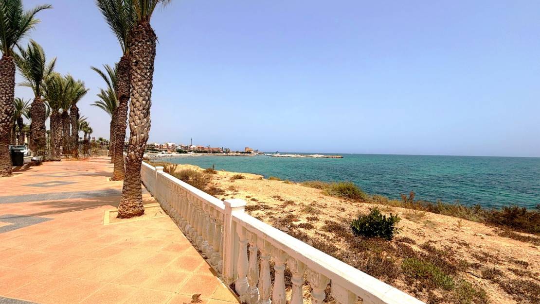 Venta - Land - Pilar de la Horadada - Pilar de la Horadada Centro