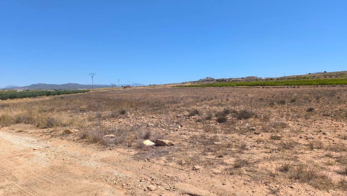 Venta - Land - Pinoso - Lel