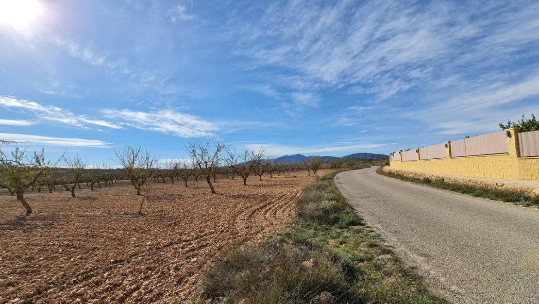 Venta - Land - Pinoso - Lel