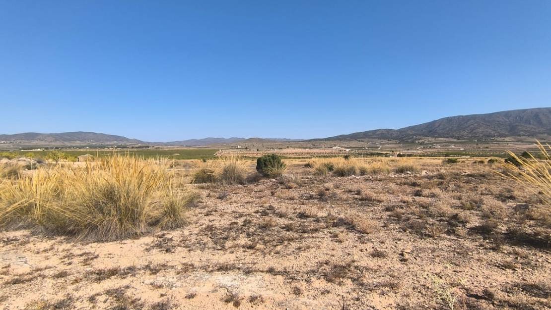 Venta - Land - Pinoso - Lel