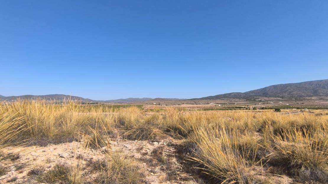 Venta - Land - Pinoso - Lel