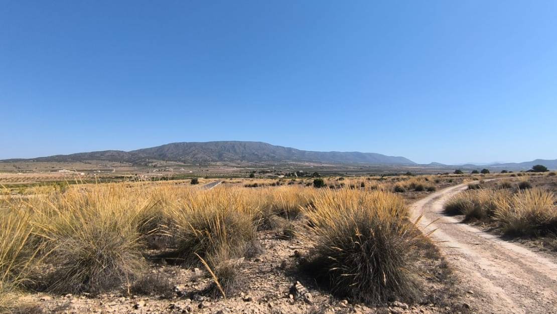 Venta - Land - Pinoso - Lel