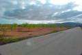 Venta - Land - Pinoso - Pinoso Centro