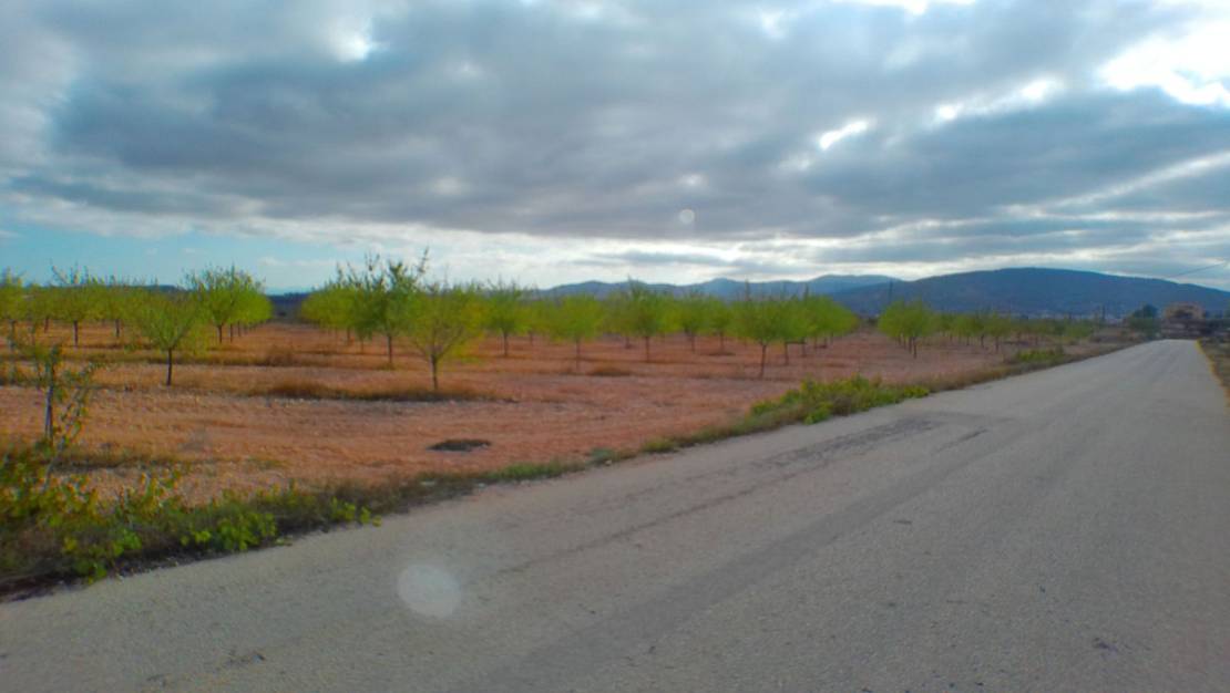 Venta - Land - Pinoso - Pinoso Centro