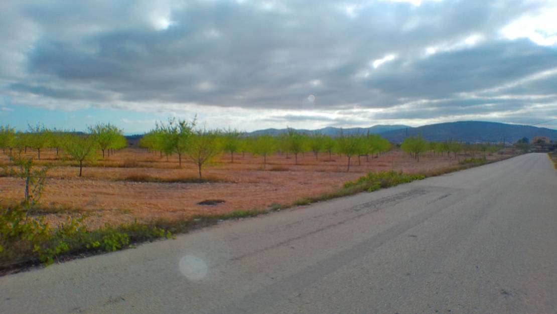 Venta - Land - Pinoso - Pinoso Centro