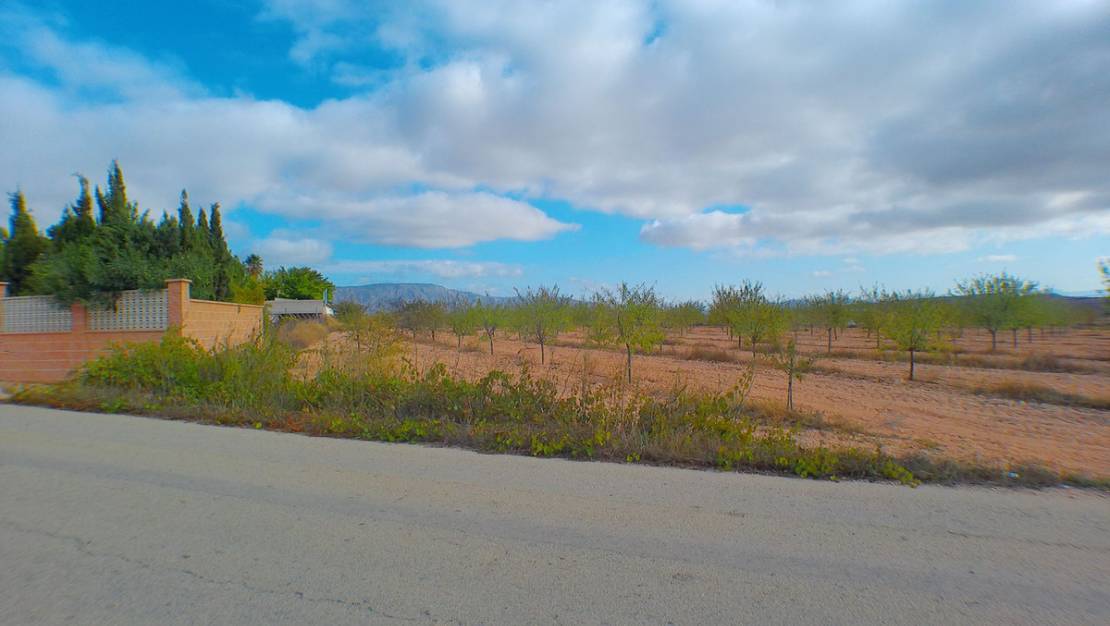 Venta - Land - Pinoso - Pinoso Centro