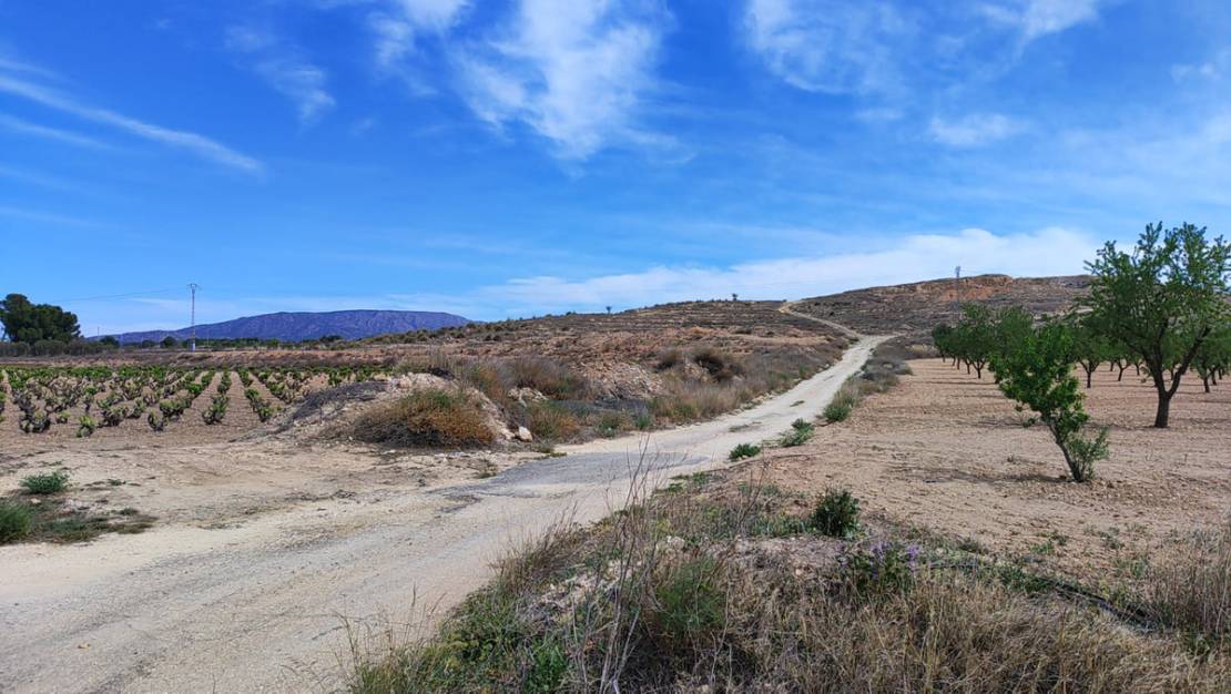 Venta - Land - Pinoso - Pinoso Centro